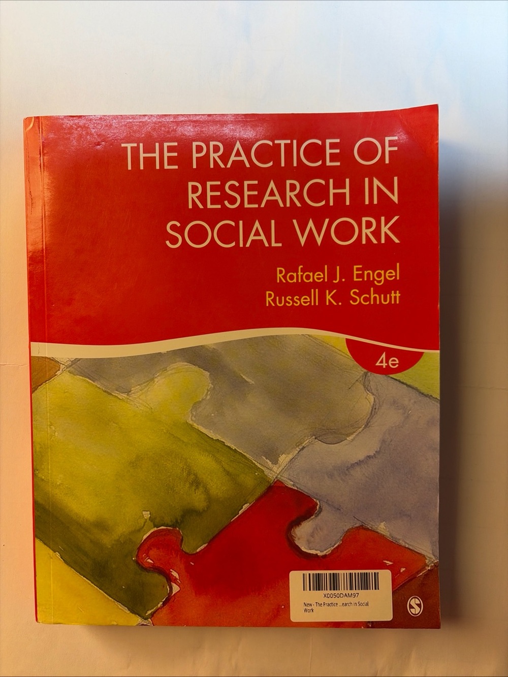 The Practice of Research in Social Work by Rafael Engel